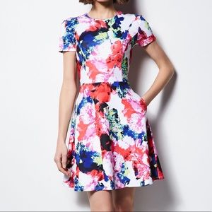 Milly for Design Nation Rosabella Scuba Dress